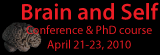 Brain and Self: The Problems of Psychiatric Nosology