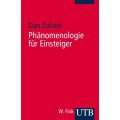 Phänomenologie für Einsteiger